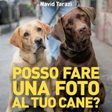 Doggodaiily  - Navid Tarazi "Posso fare una foto al tuo cane?"