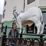 Bull Battle: Everett Restaurateur Battles City Hall Over Bovine Statue