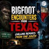 BIGFOOT ENCOUNTERS FROM THE SABINE RIVER IN TEXAS AND LAKE CONROE (THESE THINGS ARE EVERYWHERE)