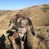 Planning your Affordable Western Hunt 1 - Ground Work For Success - Budget Diy Bear Mule Deer Small Game