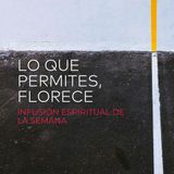 Lo Que Permites, Florece