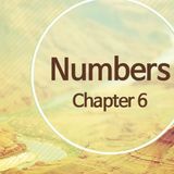 Numbers chapter 6