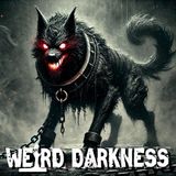 REAL CASES OF HELLHOUNDS: Ancient Myths To Modern Sightings