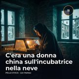C'era una donna china sull'incubatrice nella neve
