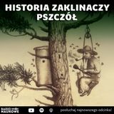 #320 Bartnictwo - dawna sztuka zdobywania miodu | prof. Aneta Pieniądz