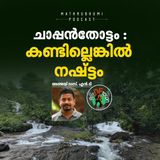 ചാപ്പന്‍തോട്ടം : കോഴിക്കോട്ടെ അധികമാര്‍ക്കും അറിയാത്ത വെള്ളച്ചാട്ടം |  Chappanthottam Waterfalls
