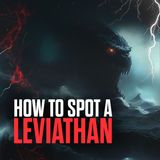 How To Spot a Leviathan