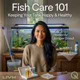 Fish Care 101 - Dive into aquatic mastery with Juniper Snout