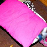 A Friend’s Betrayal That Left a Body Behind | Hidden Crime Files