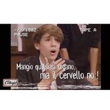 #forlì 10 curiosità del collegio 4