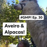 Aveiro & Alpacas! - The ‘Good Morning Portugal!’ Podcast - Episode 31
