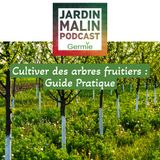 Cultiver des arbres fruitiers : Guide Pratique pour un jardin abondant