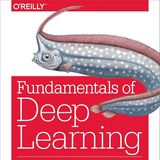 Fundamentals of Deep Learning: Designing Next-Generation Machine Intelligence Algorithms