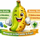 Banane: acerbe o mature? Tutti i benefici (e qualche mito da sfatare)
