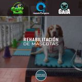 NUESTRO OXÍGENO Rehabilitación de mascotas – Dr. Juan Carlos Gallego