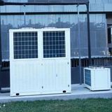 How IQF Quick Freezing Equipment Enhances Cold Chain Effectiveness and Food Quality