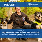 34. Międzynarodowy Dzień Psa Ratowniczego – rozmowa z Reginą Zaworską-Kulczyk z OSP Gościeradz