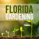 The Return of Florida Gardening with Mark Govan