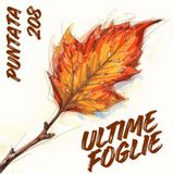Puntata 208 - Ultime foglie 🍂