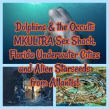 Dolphins & the Occult: MKULTRA Sex Shack, Florida Underwater Cities and Alien Starseeds from Atlantis!