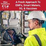 463: A Fresh Approach To EMFs, Smart Meters, 5G, & Vaccines