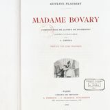 Madame Bovary di Flaubert: trama, significato e temi