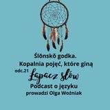 Ślōnskŏ godka. Kopalnia pojęć,  które giną