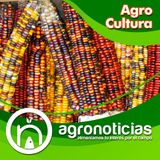 Libro Agriculturas Campesinas en Latinoamérica