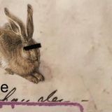 Das Tagebuch - Die Probanden-Tagebücher (3) - von Miriam Sachs