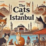 Episode 32: The Cats of Istanbul