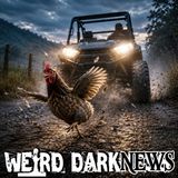 West Virginia Woman Allegedly Shoots at Driver Who Hit Her Chicken | #WeirdDarkNEWS