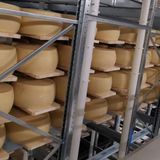 La Corte d’Appello blinda il termine Grana, ma “Brazzale non ha causato danno al Consorzio”