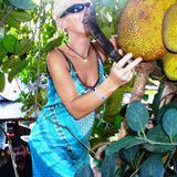 Odc.10 Sri Lanka "Jackfruit, czyli jeże na drzewach"