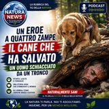 Cane eroe salva un uomo schiacciato da un tronco