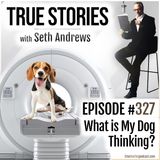 True Stories #327 - What is My Dog Thinking?