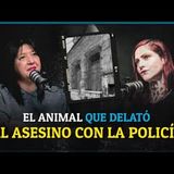 La Casa Aramberri y la misteriosa investigación de la Policía Mariana Maus | Relatos de Medianoche Podcast