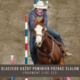 Dlaczego każdy powinien poznać Slalom - fragment live 222