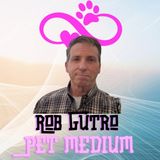 All Pets Go To Heaven w/ Pet Medium Rob Gutro
