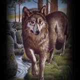 The Weekly Inspiration - The Wolf (Faol)