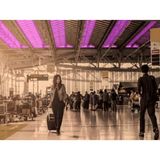 Survival Medicine Podcast: UV Germicidal Irradiation; Tornadoes, More
