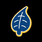 Colossians 2: 2-3 - True Wealth and Mysteries Revealed !