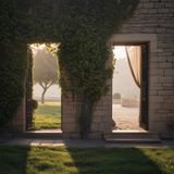 Episodio 343 - aneti sull’Emisfero Sinistro / Pianeti sull’Emisfero Destro