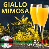 Giallo mimosa - Episodio 9 (stagione 6)