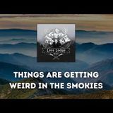 For Once, A Truly Strange Missing 411 Case   Podcast Episode 141