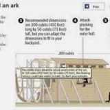 Noah's Ark Building Instructions