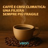 Caffè e crisi climatica: una filiera sempre più fragile