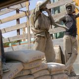 Le journal du 10 juillet 2025 – Vente à prix modéré du ciment à Niamey