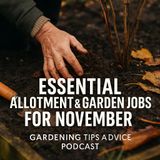 🎧 Essential Allotment & Garden Jobs for November | Gardening Tips & Advice Podcast