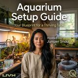 Aquarium Setup Guide - The Nitrogen Cycle (Your Tank's Invisible Foundation)