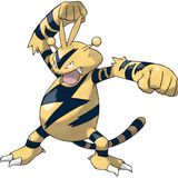 #125 Electabuzz